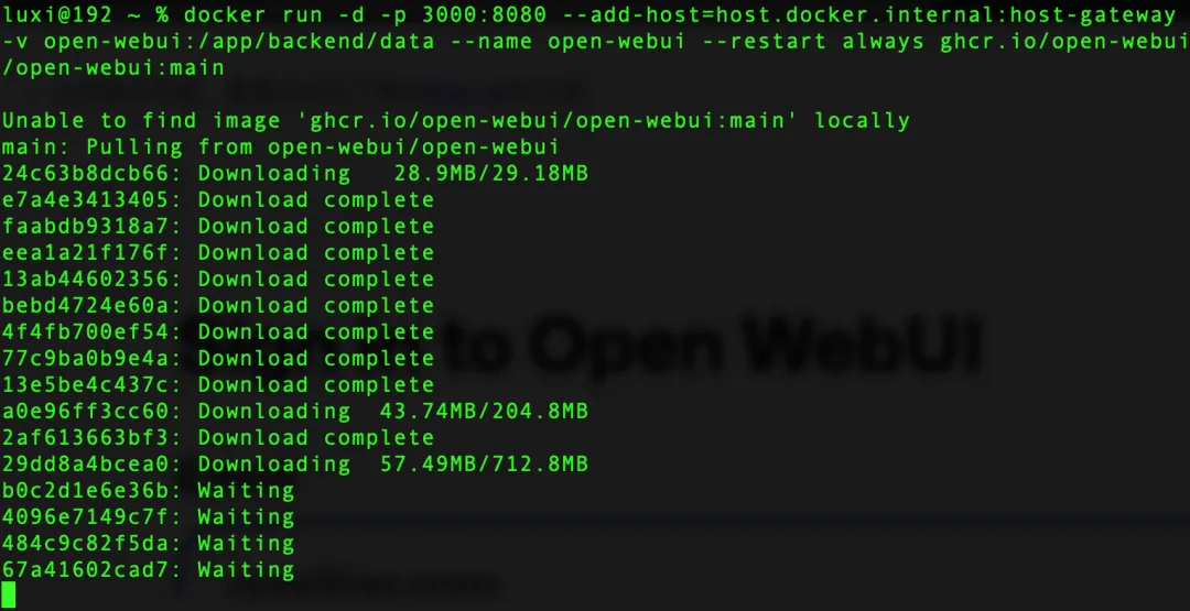 runopen-webui